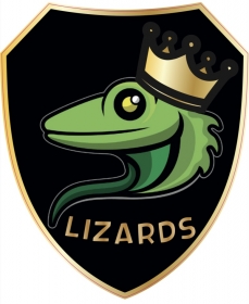 Lizards 